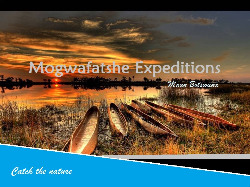 Mogwafatshe Expeditions gallery